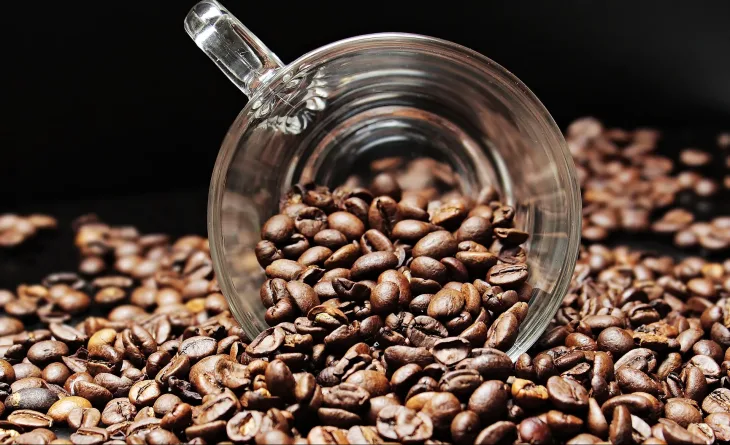 Caffeine Exposed: How It Affects Different People and the Myths You Shouldn't Believe